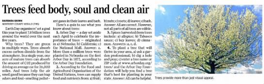 Trees feed body, soul and clean air